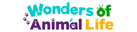 Wonders of Animal life logo
