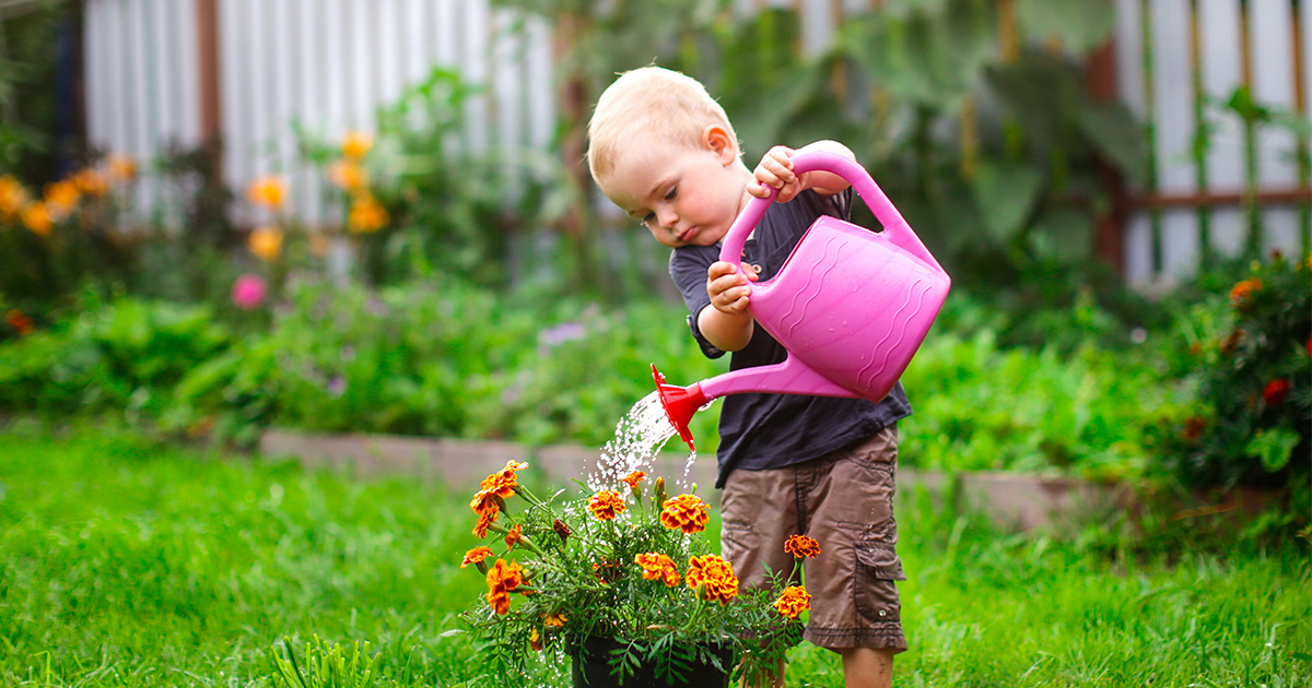 A young boy watering orange flowers with a pink watering can in a backyard garden.